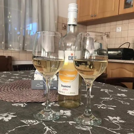 Apartamento Viola Vendeghaz Mezőkövesd